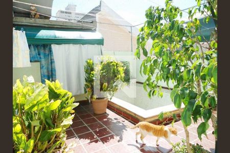 Casa à venda com 3 quartos, 250m² em Campo Belo, São Paulo