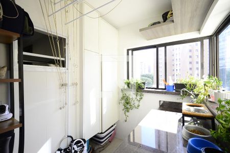 Área de Serviço de apartamento para alugar com 3 quartos, 106m² em Jardim Vila Mariana, São Paulo