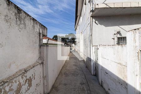 Área Comum de casa para alugar com 1 quarto, 40m² em Cidade Antônio Estêvão de Carvalho, São Paulo
