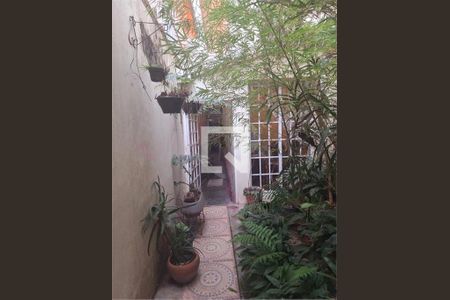 Casa à venda com 3 quartos, 250m² em Cambuci, São Paulo