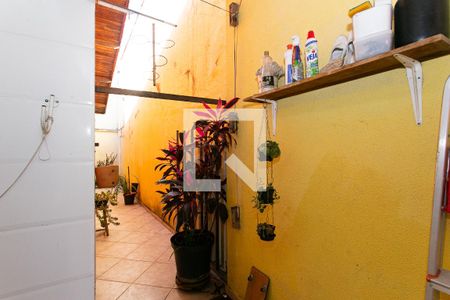 Quintal de casa à venda com 3 quartos, 100m² em Vila Aricanduva, São Paulo