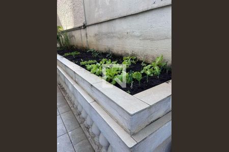 Apartamento à venda com 3 quartos, 98m² em Nova Piraju, São Paulo