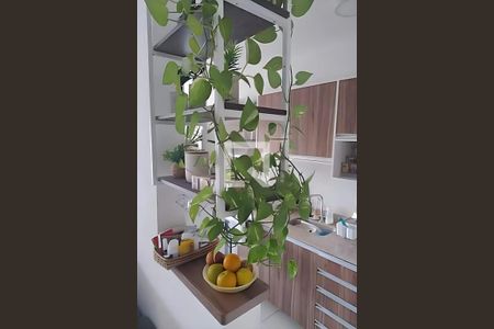 Apartamento à venda com 2 quartos, 63m² em Recreio dos Bandeirantes, Rio de Janeiro