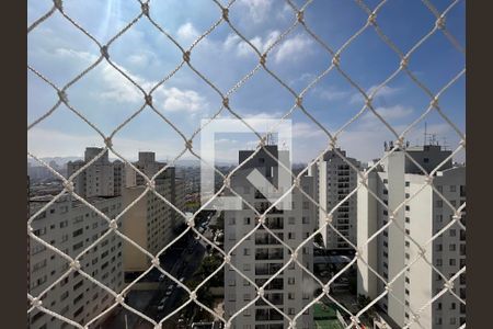 Vista da Suíte de apartamento à venda com 2 quartos, 63m² em Jardim Iris, São Paulo