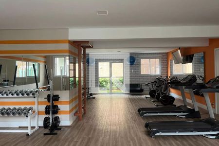 Área comum - Academia de apartamento à venda com 2 quartos, 57m² em Lapa de Baixo, São Paulo