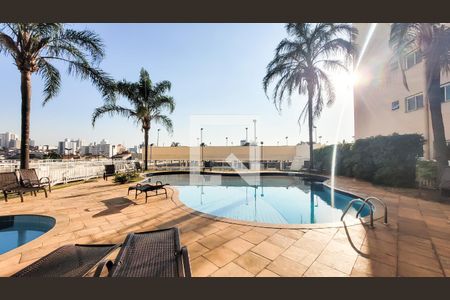 Área comum - Piscina de apartamento à venda com 2 quartos, 57m² em Bonfim, Campinas