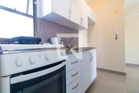 Cozinha de apartamento para alugar com 1 quarto, 42m² em Cambuí, Campinas
