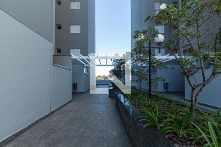 Área comum de apartamento para alugar com 3 quartos, 78m² em Jardim Portal da Colina, Sorocaba