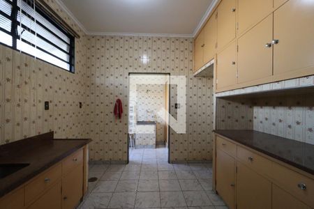 Cozinha de casa para alugar com 5 quartos, 262m² em Jardim Palma Travassos, Ribeirão Preto