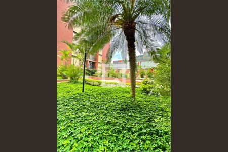 Apartamento à venda com 3 quartos, 77m² em Jardim Iris, São Paulo