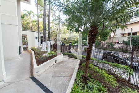 Área comum de apartamento para alugar com 2 quartos, 58m² em Jardim Vila Mariana, São Paulo