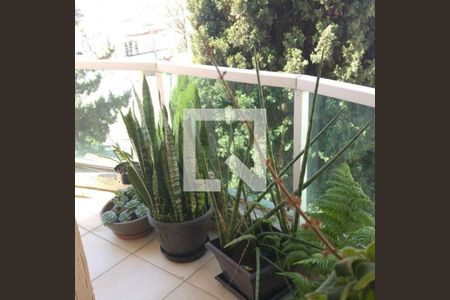 Apartamento à venda com 3 quartos, 230m² em Vila Caminho do Mar, São Bernardo do Campo