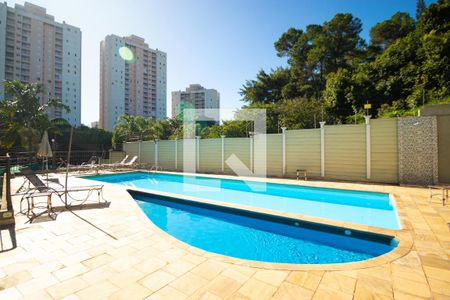 Área comum - Piscina de apartamento à venda com 2 quartos, 58m² em Jardim Nova Europa, Campinas