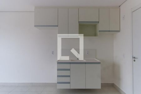 Cozinha de apartamento para alugar com 2 quartos, 35m² em Vila Graciosa, São Paulo