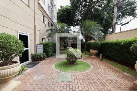 Área Comum de apartamento para alugar com 2 quartos, 50m² em Lauzane Paulista, São Paulo