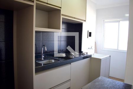 Cozinha - Armários de apartamento para alugar com 2 quartos, 49m² em Campos Elísios, Ribeirão Preto