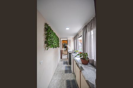 Área de Serviço de casa à venda com 3 quartos, 430m² em Baeta Neves, São Bernardo do Campo