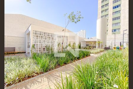 Área comum de apartamento para alugar com 1 quarto, 25m² em Alto da Mooca, São Paulo