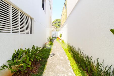 Área comum de apartamento à venda com 2 quartos, 48m² em Vila Carmosina, São Paulo