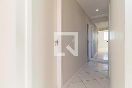 Corredor de apartamento para alugar com 3 quartos, 72m² em Santa Amelia, Belo Horizonte