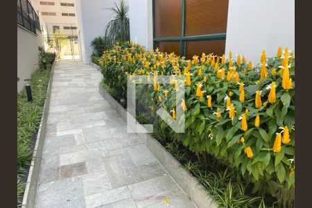 Apartamento à venda com 3 quartos, 85m² em Indianópolis, São Paulo