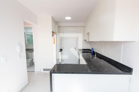 Cozinha de apartamento para alugar com 2 quartos, 32m² em Cambuci, São Paulo
