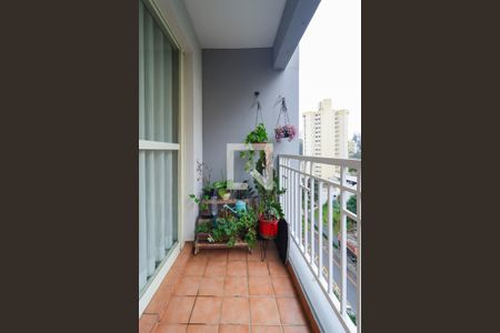 Varanda da Sala de apartamento à venda com 3 quartos, 75m² em Super Quadra Morumbi, São Paulo