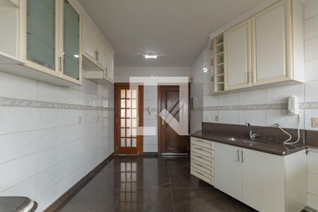 Cozinha de apartamento à venda com 3 quartos, 350m² em Santa Amelia, Belo Horizonte