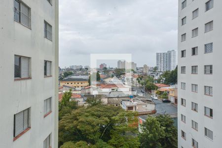 Vista da Sala de apartamento à venda com 3 quartos, 75m² em Vila Sao Paulo, São Paulo