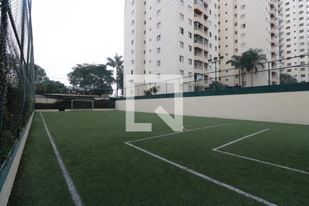 Quadra Esportiva de apartamento para alugar com 2 quartos, 60m² em Vila Gomes Cardim, São Paulo