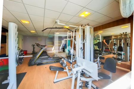 Área comum - Academia de apartamento para alugar com 4 quartos, 440m² em Vila Sao Joao, São Bernardo do Campo