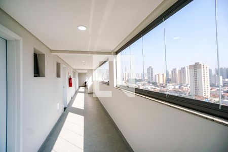Corredor externo de apartamento para alugar com 1 quarto, 45m² em Tatuapé, São Paulo