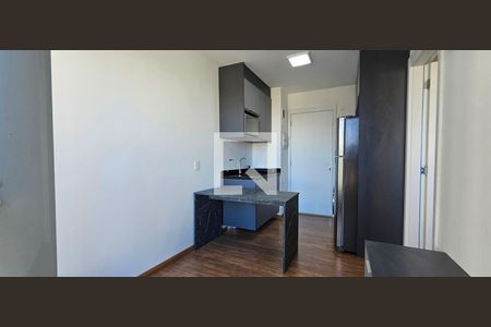 Sala de apartamento para alugar com 1 quarto, 27m² em Vila São José, São Paulo