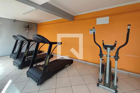 Área comum - Academia de apartamento para alugar com 2 quartos, 52m² em Jardim Nova Europa, Campinas