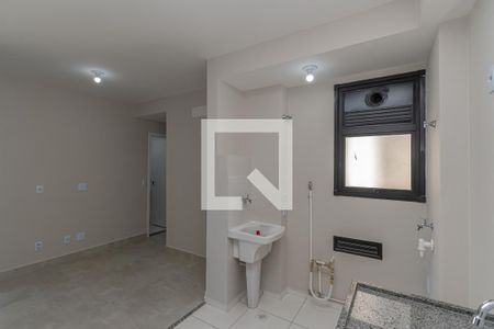 Cozinha de apartamento para alugar com 2 quartos, 55m² em Jardim do Bosque, Hortolândia