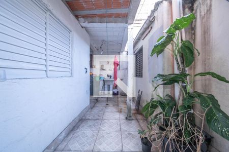 Área de Serviço de casa para alugar com 2 quartos, 500m² em Vila Guarani (zona Sul), São Paulo