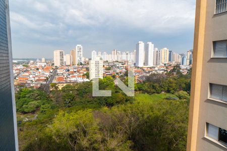 Vista da Sacada da Sala de apartamento à venda com 3 quartos, 101m² em Vila Monte Alegre, São Paulo