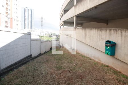 Espaço Pet de apartamento para alugar com 2 quartos, 42m² em Vila Suzana, São Paulo