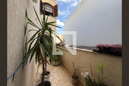 Jardim de inverno de casa à venda com 3 quartos, 350m² em Vila Camilópolis, Santo André