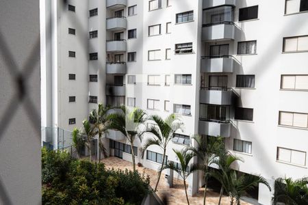 Sacada/Sala de apartamento para alugar com 3 quartos, 73m² em Vila Rosalia, Guarulhos