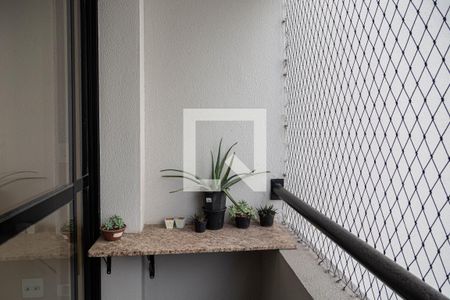 Sacada/Sala de apartamento para alugar com 3 quartos, 73m² em Vila Rosalia, Guarulhos