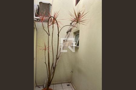 Casa à venda com 3 quartos, 181m² em Taquaral, Campinas