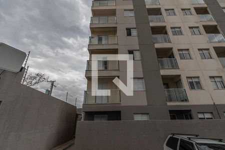 Placa de apartamento para alugar com 2 quartos, 57m² em Jardim Novo Angulo, Hortolândia