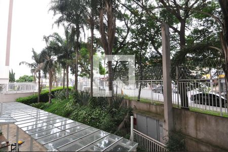 Vista da Sacada da Sala de apartamento para alugar com 3 quartos, 65m² em Vila Paiva, São Paulo