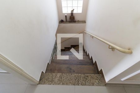 Escada de casa para alugar com 3 quartos, 150m² em Vila Moinho Velho, São Paulo