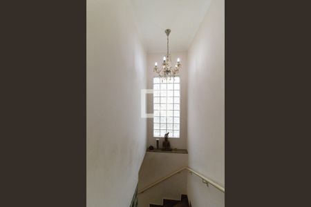 Escada de casa para alugar com 3 quartos, 150m² em Vila Moinho Velho, São Paulo