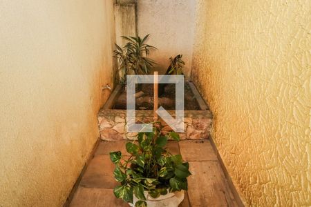 Corredor do Quintal de casa para alugar com 4 quartos, 420m² em Jardim Leonor, São Paulo