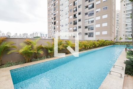 Área comum - Piscina de apartamento à venda com 2 quartos, 56m² em Limão, São Paulo