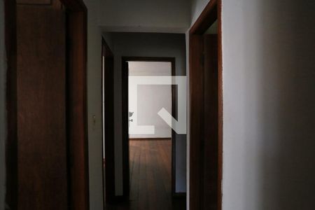 Corredor de apartamento para alugar com 3 quartos, 100m² em Santo Antônio, Belo Horizonte