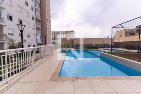 Área comum - Piscina de apartamento à venda com 3 quartos, 65m² em Catumbi, São Paulo